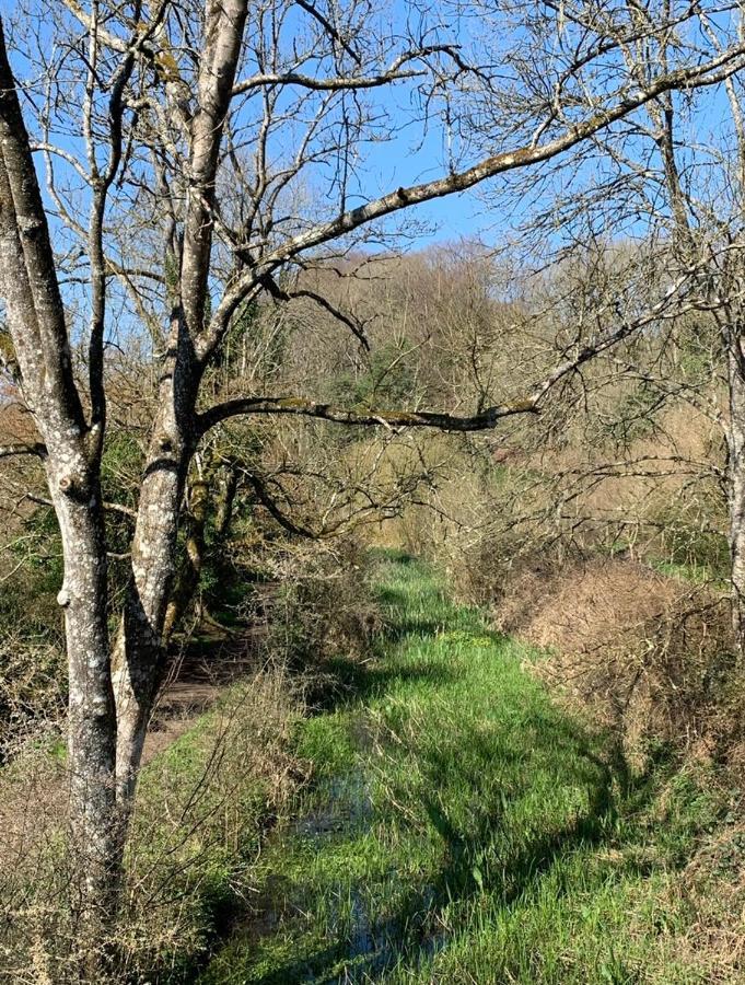 דירות Brimscombe Linden Retreat מראה חיצוני תמונה